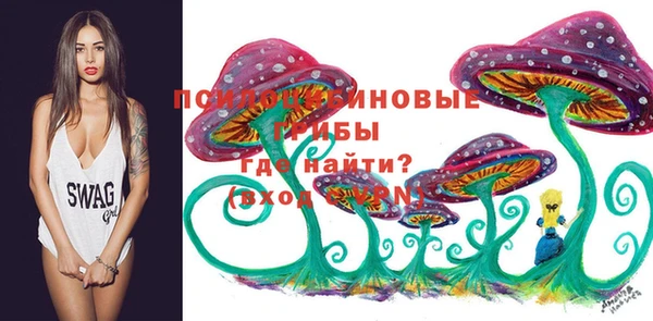 бошки Балахна