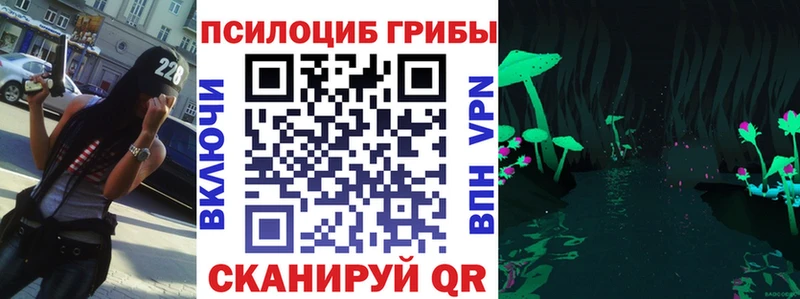 Галлюциногенные грибы мицелий  Лыткарино 