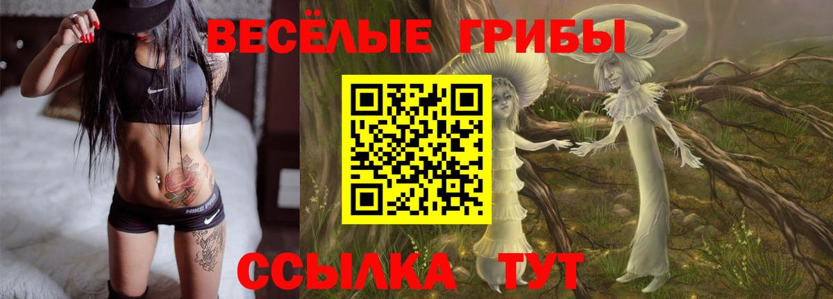 Псилоцибиновые грибы прущие грибы  Галлюциногенные грибы Magic Shrooms  закладка  Вход с VPN  Лыткарино 